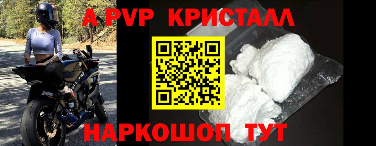 A-PVP СК КРИС Шадринск