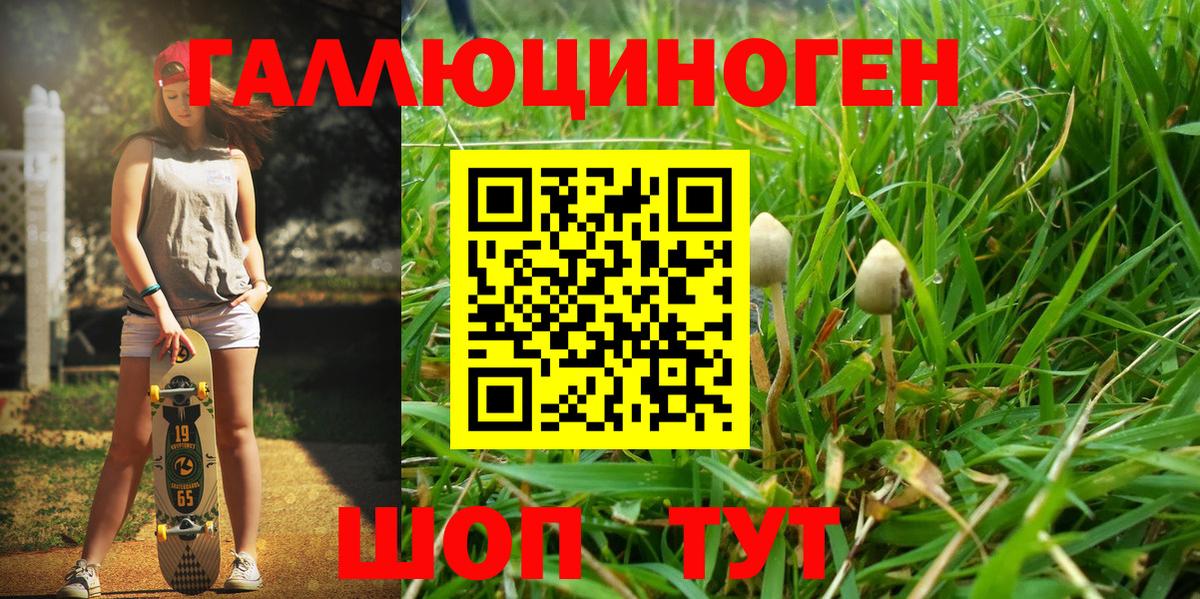 где можно купить наркотик  Вход с VPN  Шадринск  Галлюциногенные грибы MAGIC MUSHROOMS 